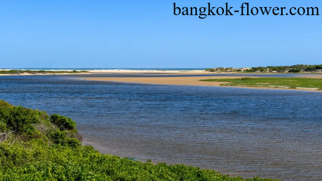 Menyelami Pesona Buffalo Bay dari Bangkok ke Ko Phayam