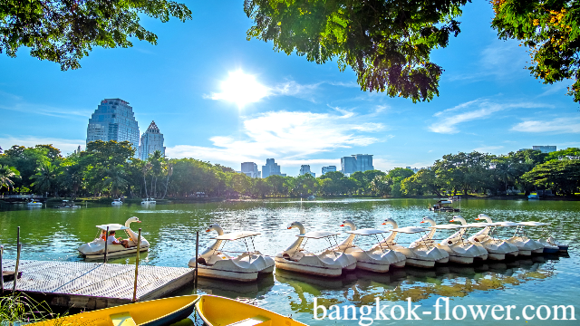 Menyelami Keindahan Taman Lumpini