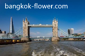 Eksplorasi Sungai Thames London