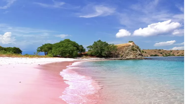 Langkah di Pasir Pink: Menguak Misteri Pantai Unik Lombok