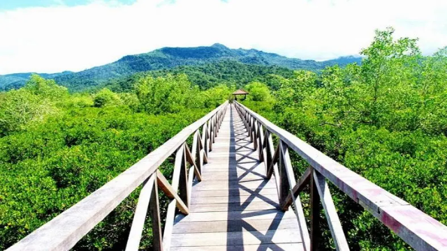 Rekomendasi Wisata Alam di Surabaya: Menyatu dengan Keindahan Alam di Kota Pahlawan